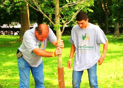 Liberty Island-Brian Bradley Tauscher Plant LP tree
