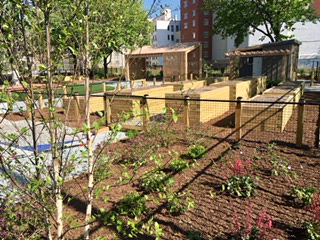 Community Gardens