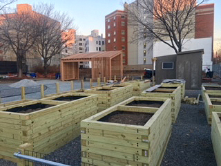 Community Gardens