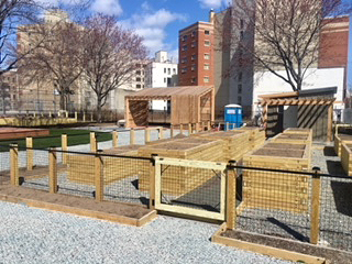 Community Gardens