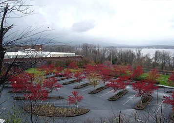 Commercial Landscaping - Dia Beacon, NY