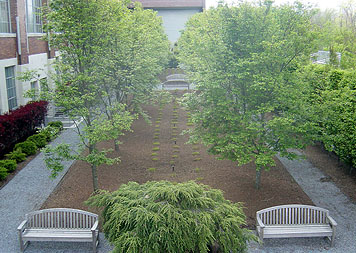 Commercial Landscaping - Dia Beacon, NY