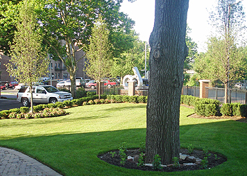 Commercial Landscaping - East Orange, NJ