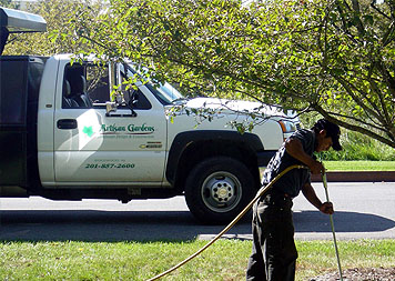 Commercial Landscape Services - Deep root injection