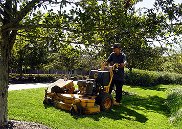 Commercial Landscape Services - Turf Management