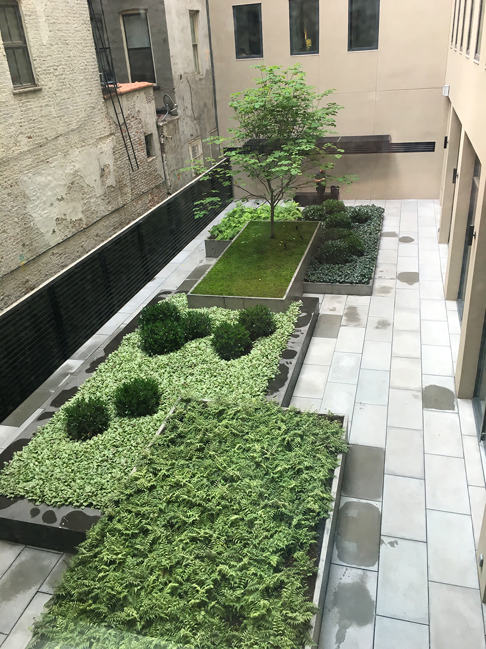Green Roofs & Roof Gardens