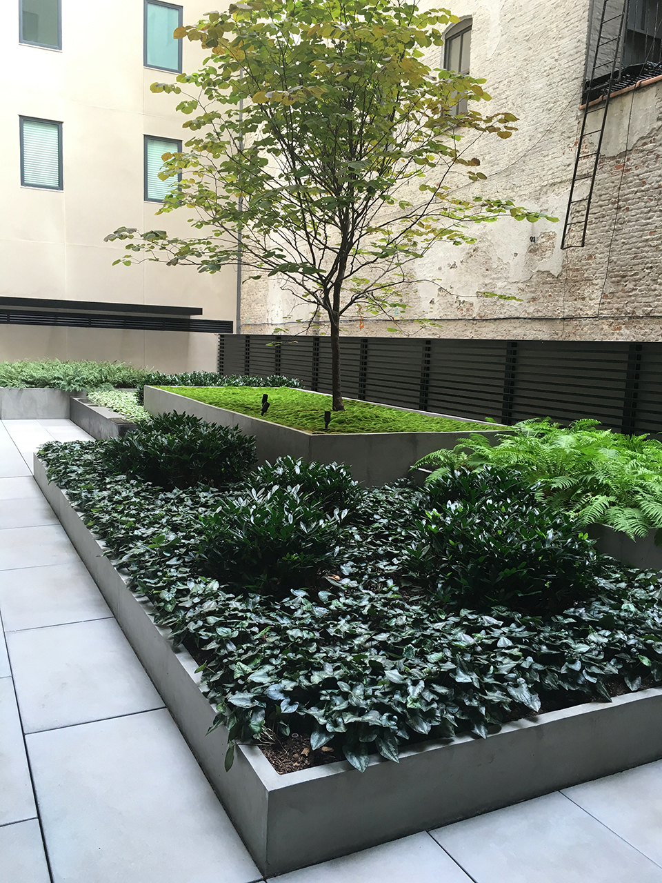 Green Roofs & Roof Gardens