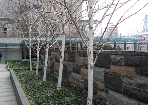 Green Roofs & Roof Gardens