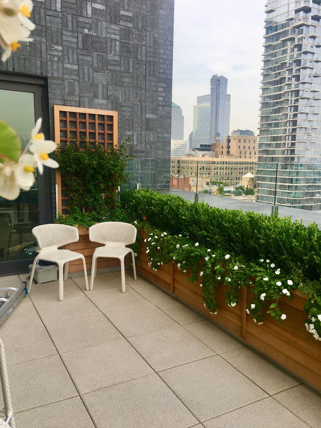 Green Roofs & Roof Gardens