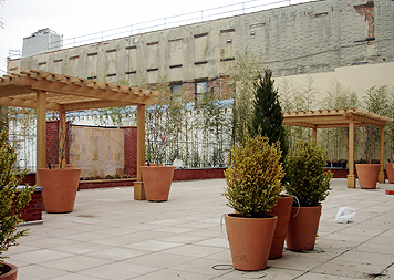 Green Roofs & Roof Gardens