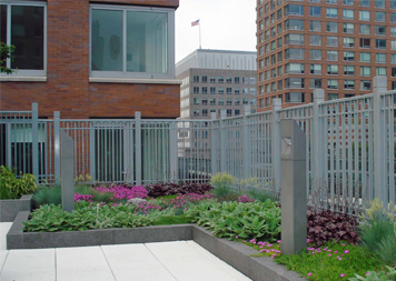 Green Roofs & Roof Gardens