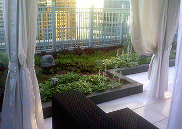 Green Roofs & Roof Gardens