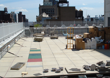 Green Roofs & Roof Gardens