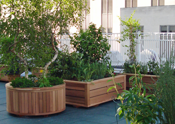 Green Roofs & Roof Gardens