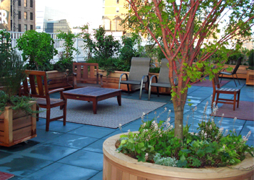 Green Roofs & Roof Gardens