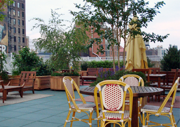 Green Roofs & Roof Gardens